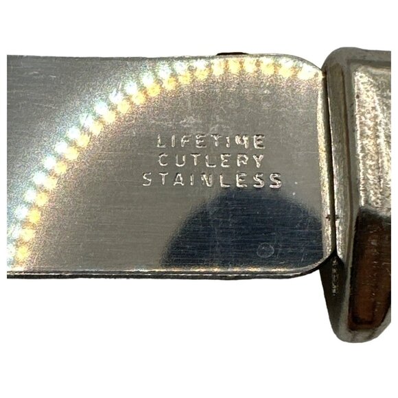 Vintage Lifetime Cutlery Cheese Knife Cream Brown Floral Replacement - Picture 5 of 5